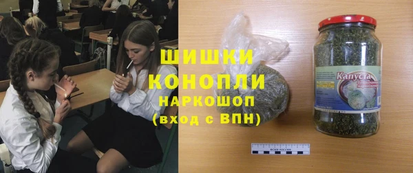 индика Балабаново