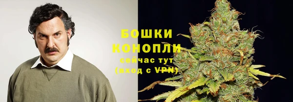 индика Балабаново