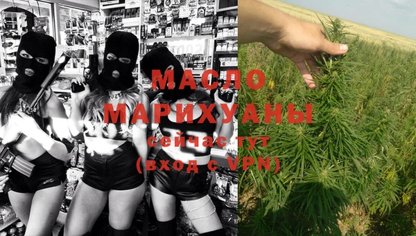 индика Балабаново