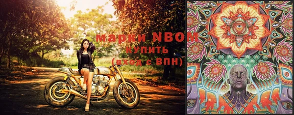 индика Балабаново