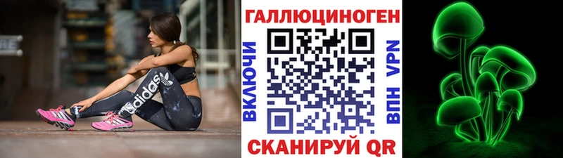 дарнет шоп  Геленджик  Галлюциногенные грибы Psilocybe 